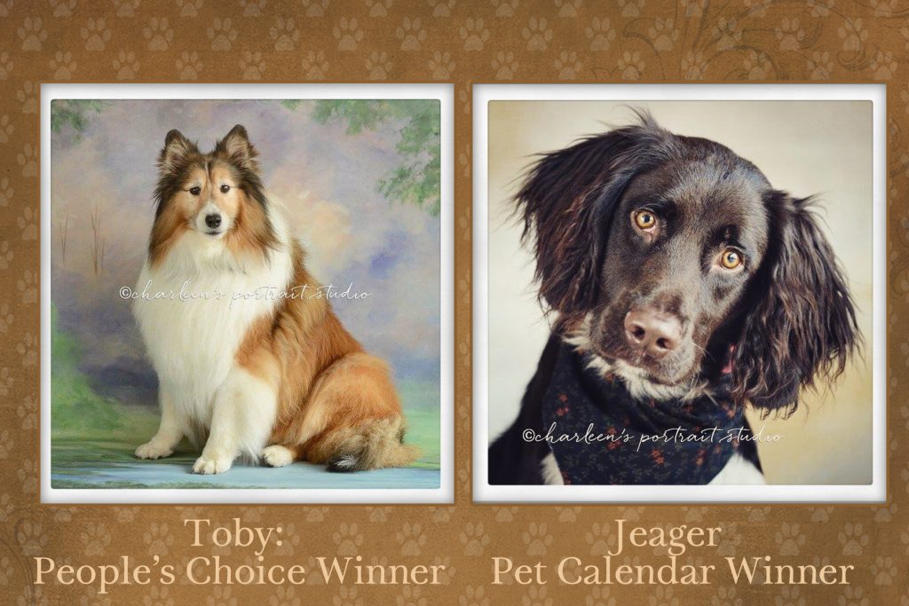 Charleen's Portrait Studio - Pet Portraits, Pet Photo Contest