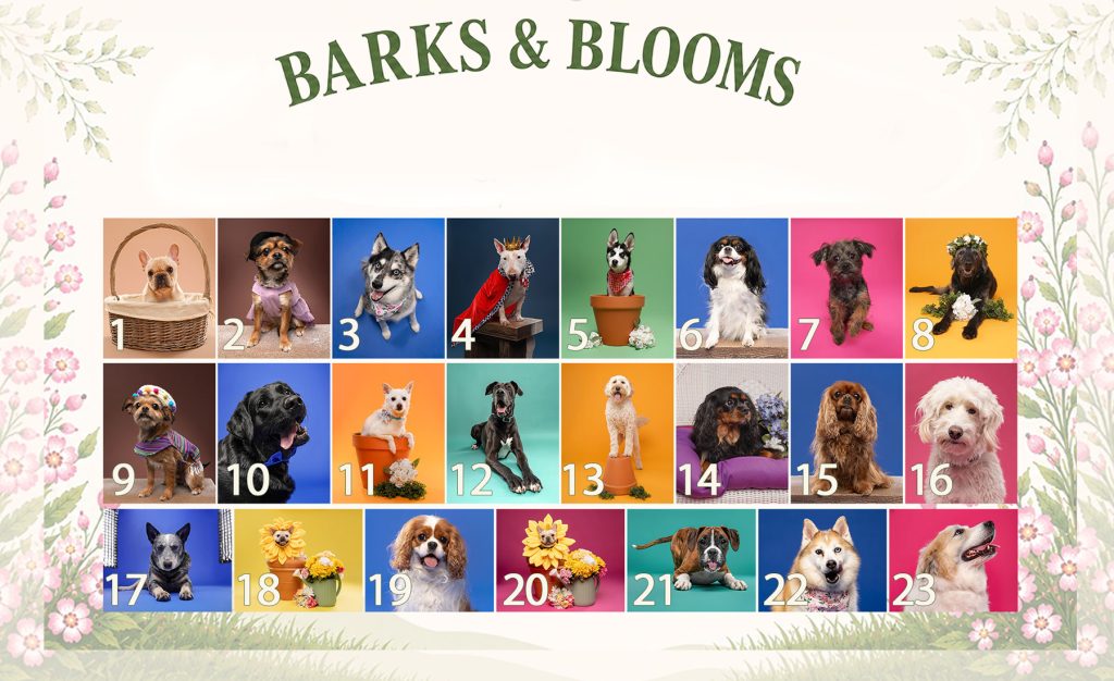 BARKS & BLOOMS PET PHOTO CONTEST