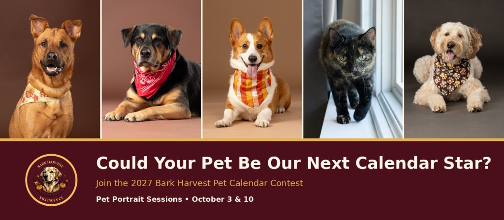Bark harvest Calendar contest