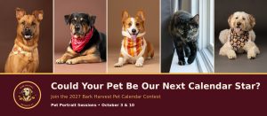 Bark harvest Calendar contest